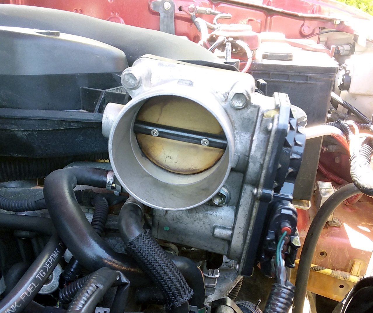 20190410_152526.jpg