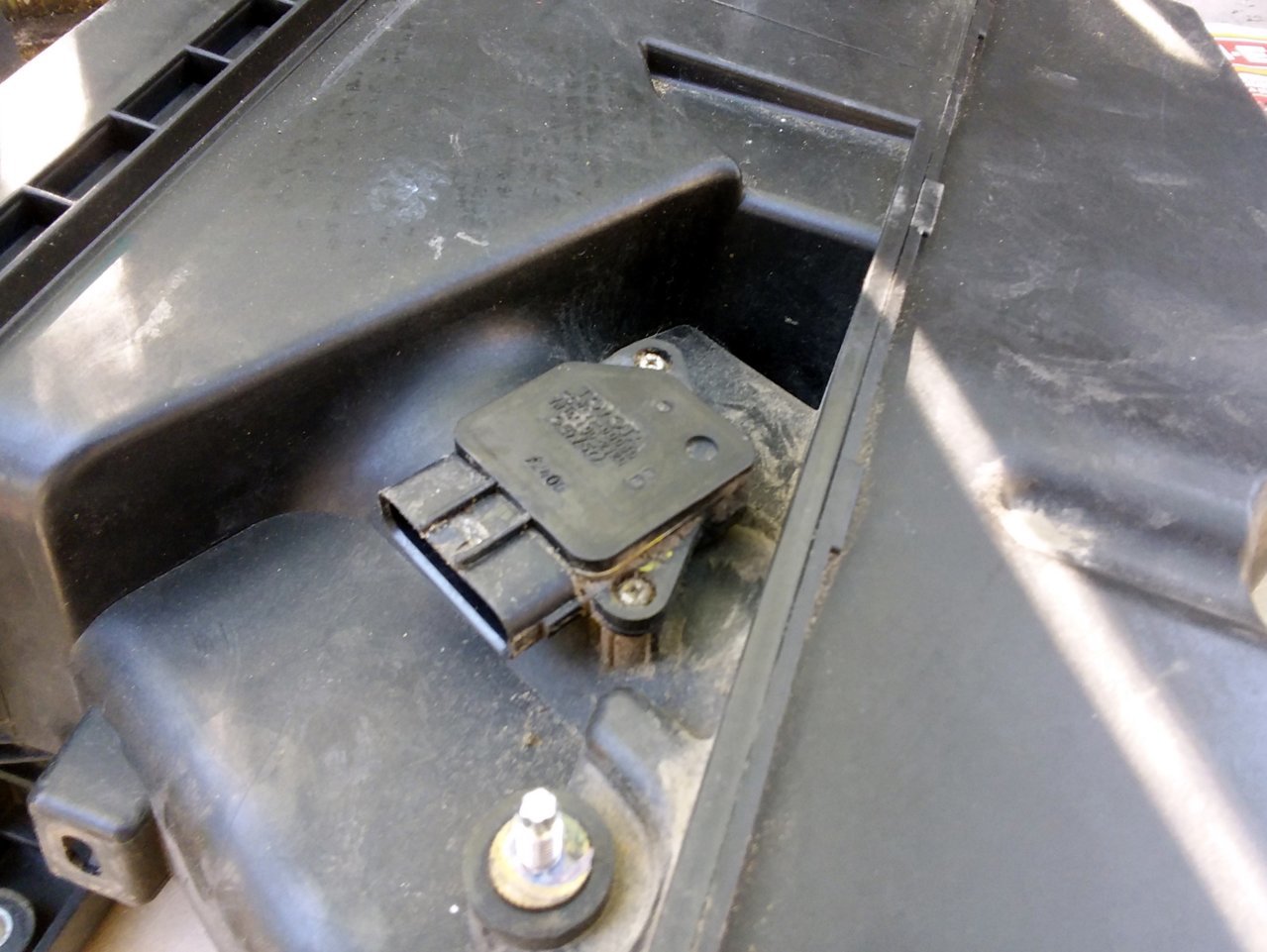 20190410_160905.jpg