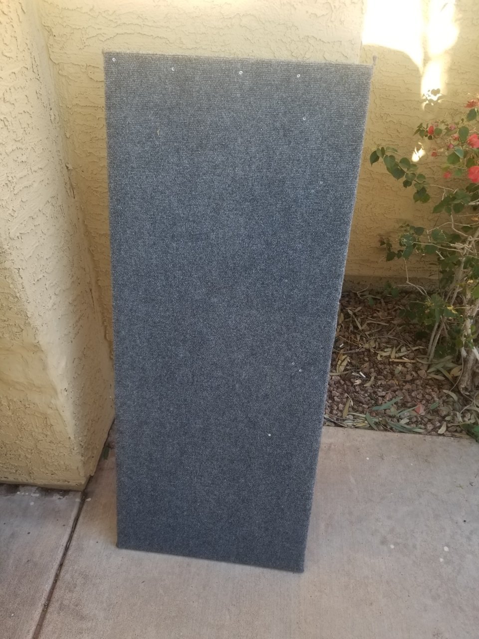 20190410_174428.jpg