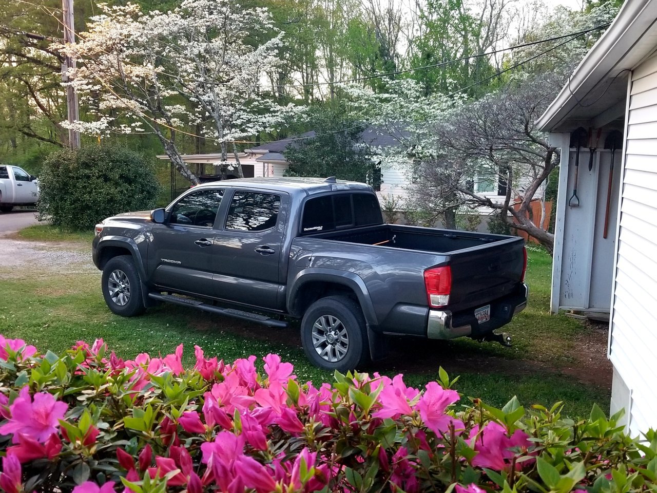 20190410_200742.jpg