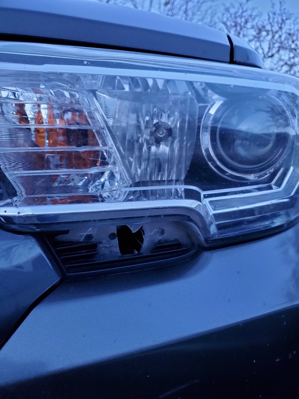 20190410_201549.jpg