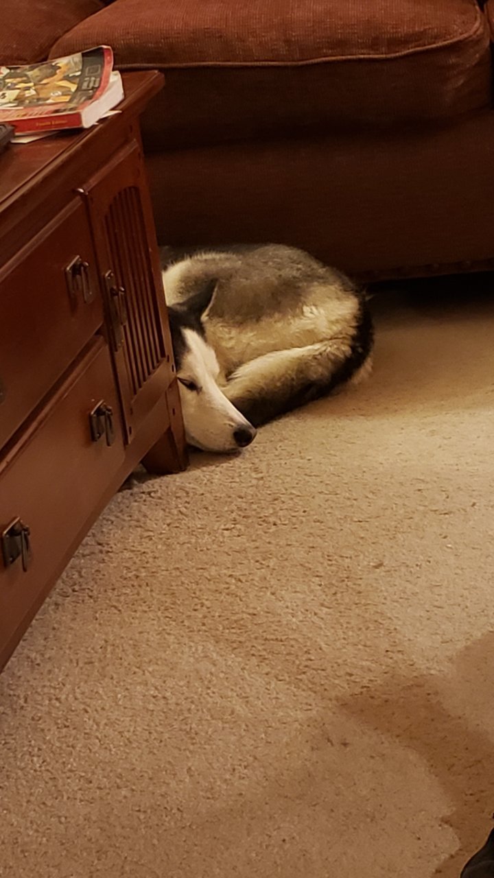 20190410_234117.jpg
