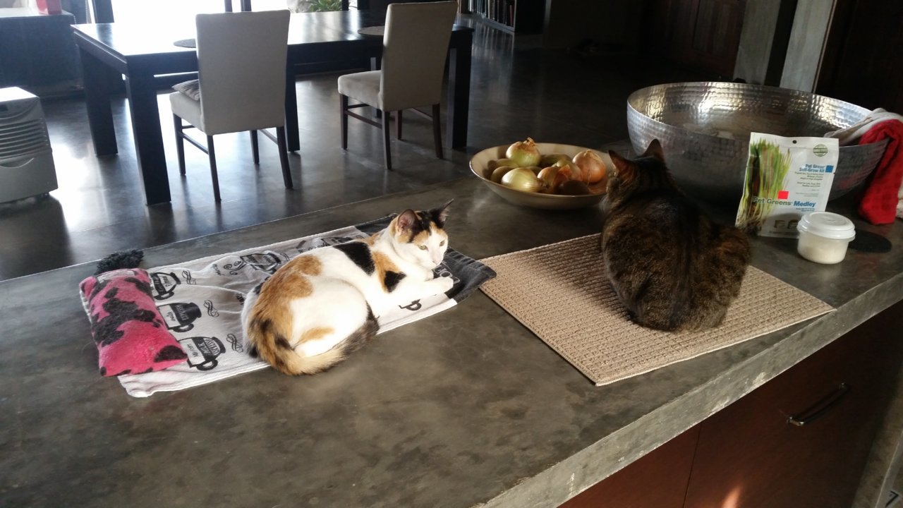 20190411_074614.jpg