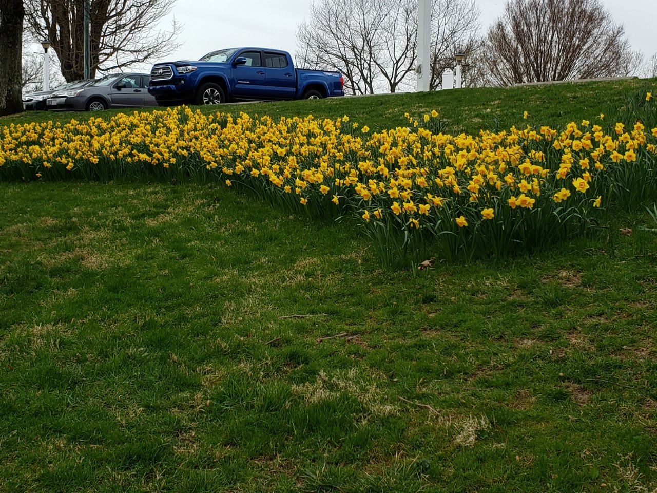 20190411_142134.jpg