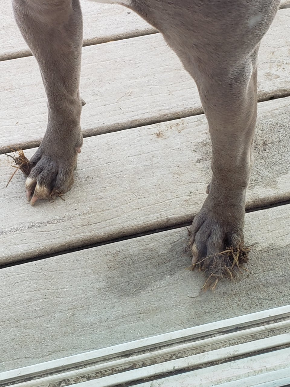 20190411_160337.jpg
