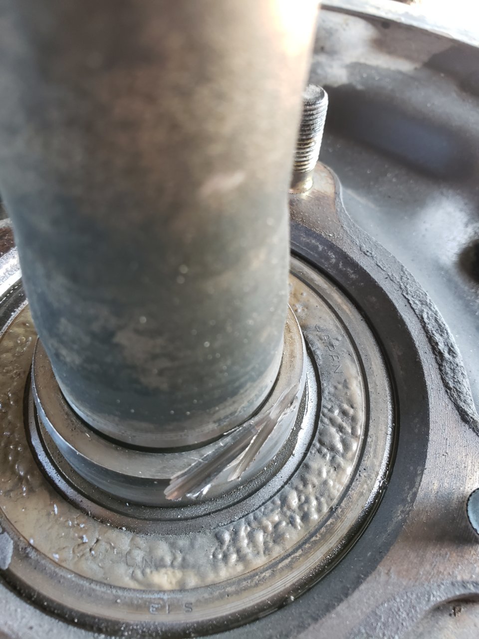 20190412_103808.jpg