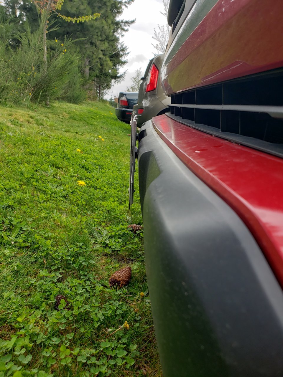 20190412_123632.jpg