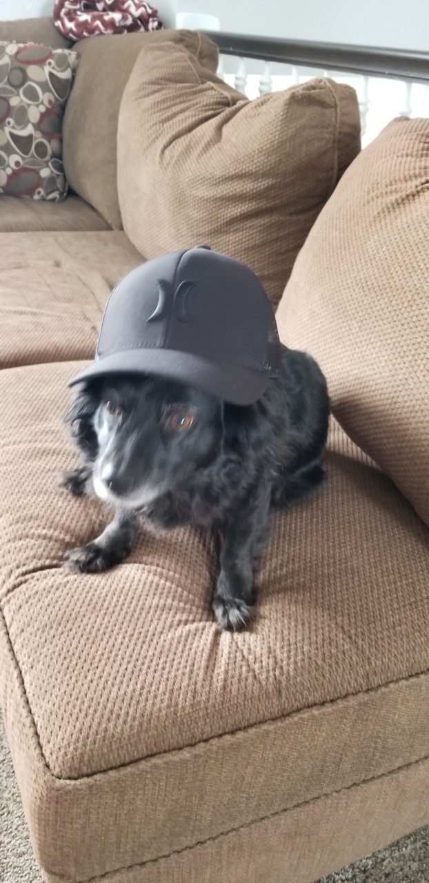 20190412_143323.jpg