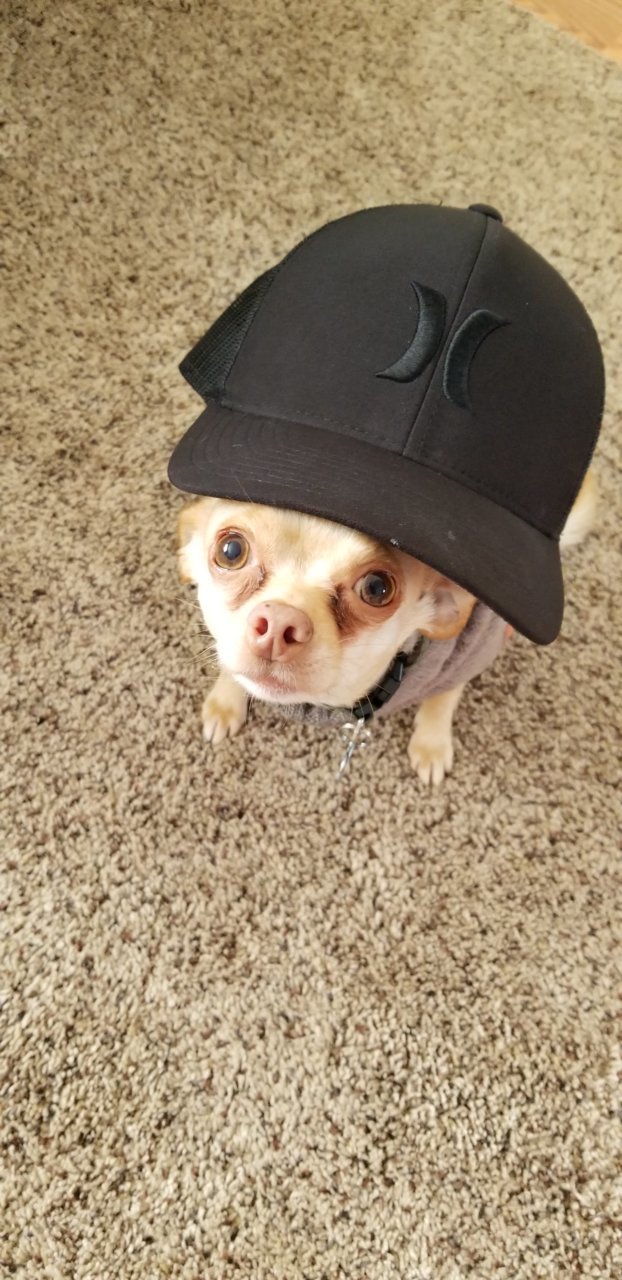 20190412_143349.jpg