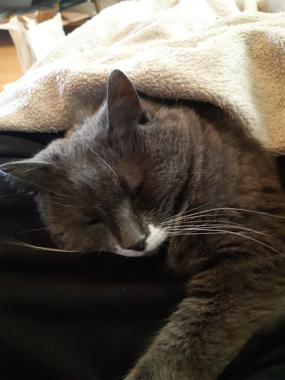 20190412_175146.jpg
