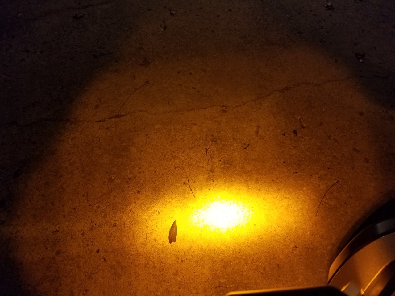 20190412_204010.jpg