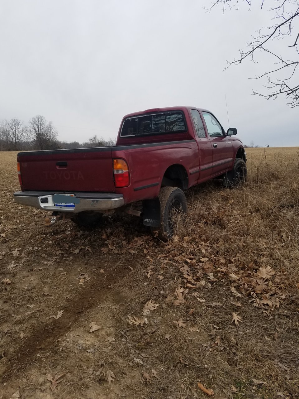 20190412_204214.jpg