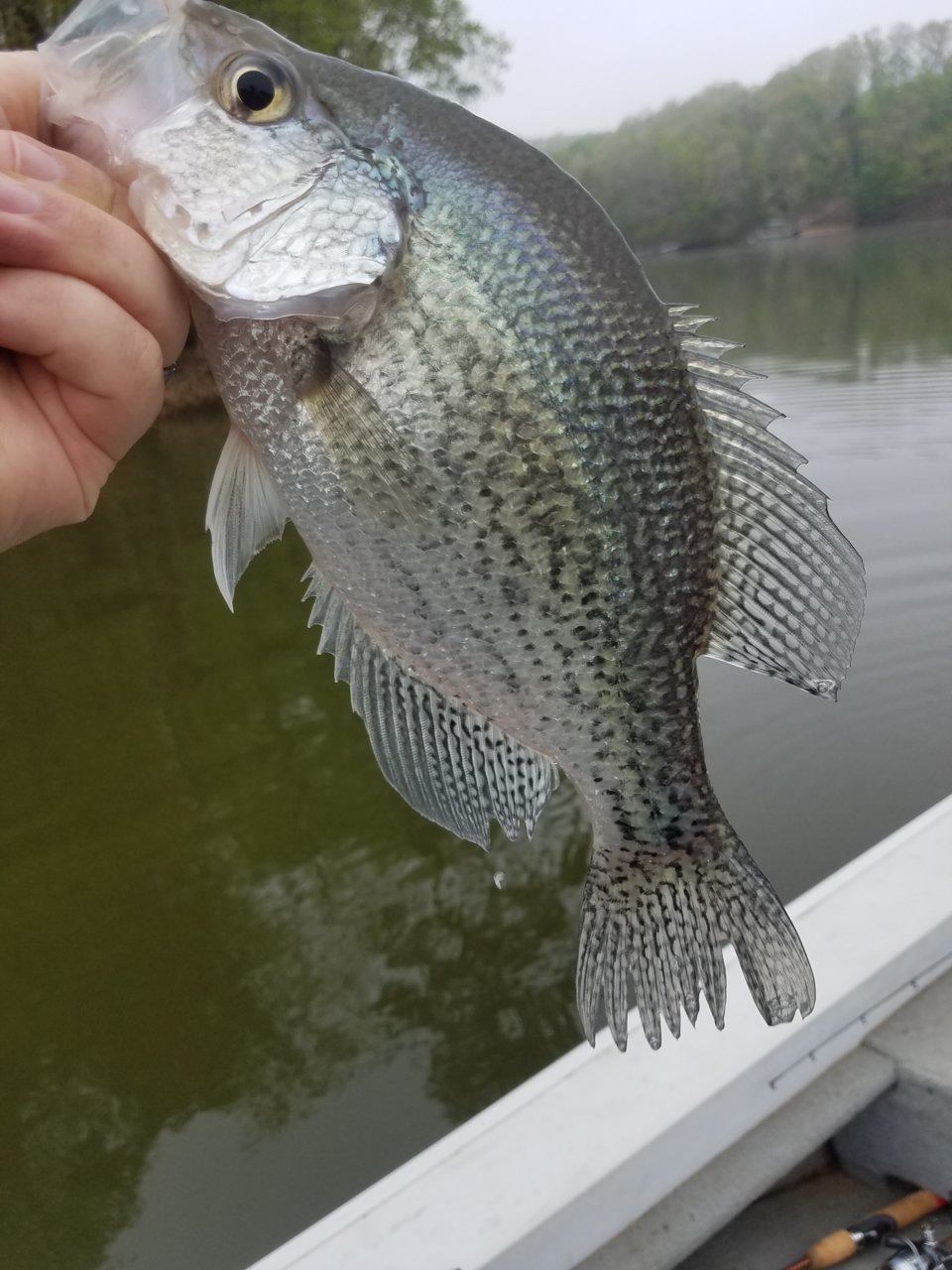 20190413_082101.jpg