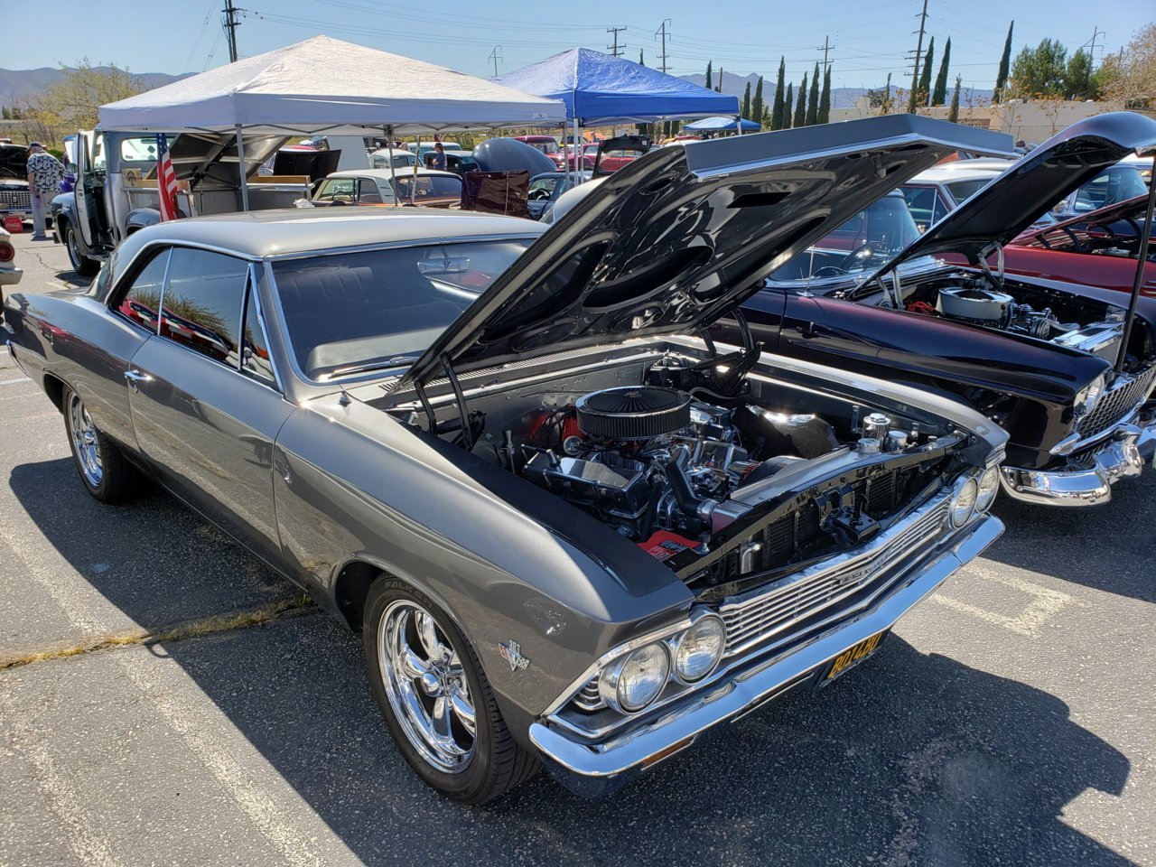 20190413_104347.jpg