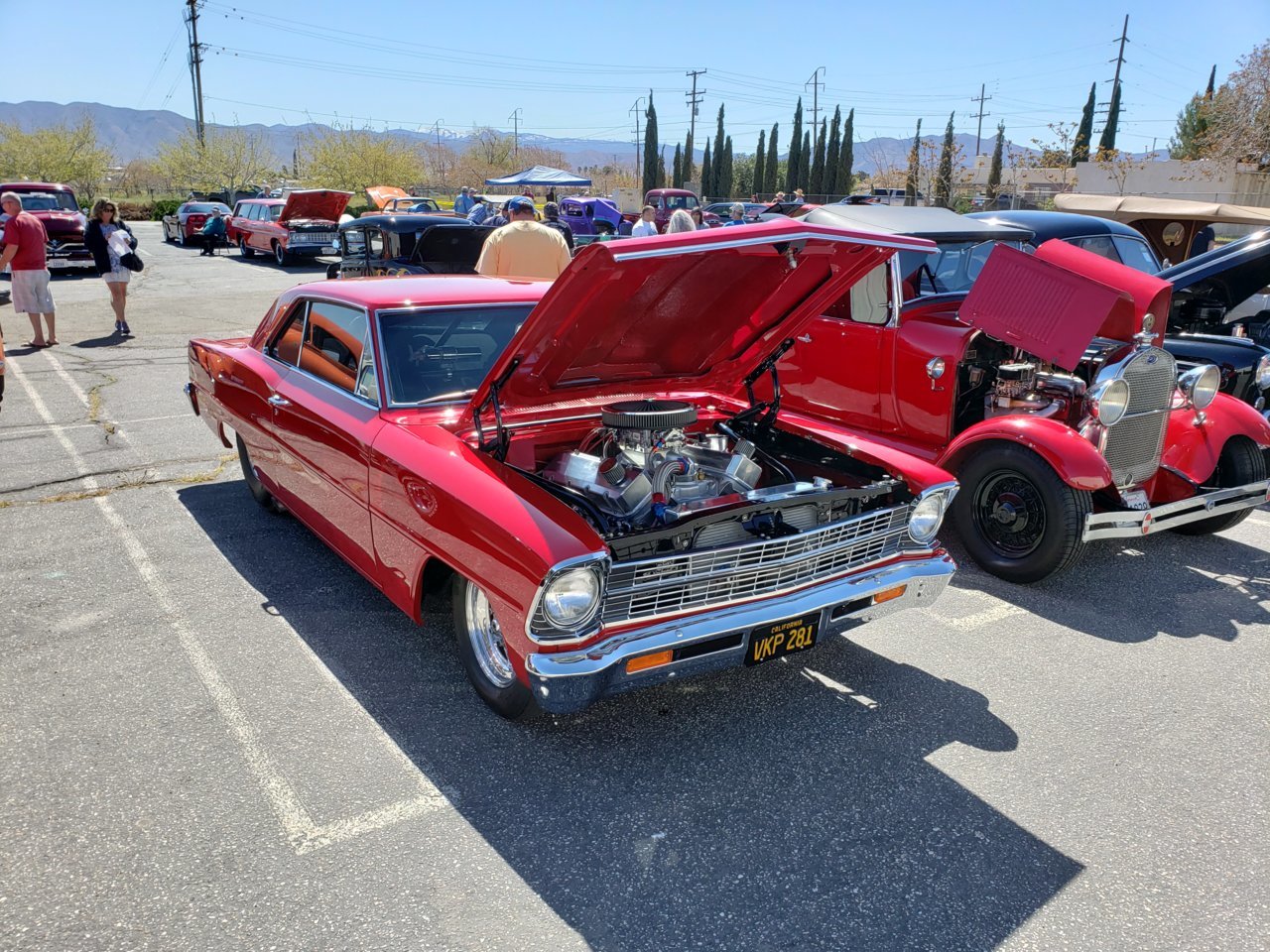 20190413_104425.jpg