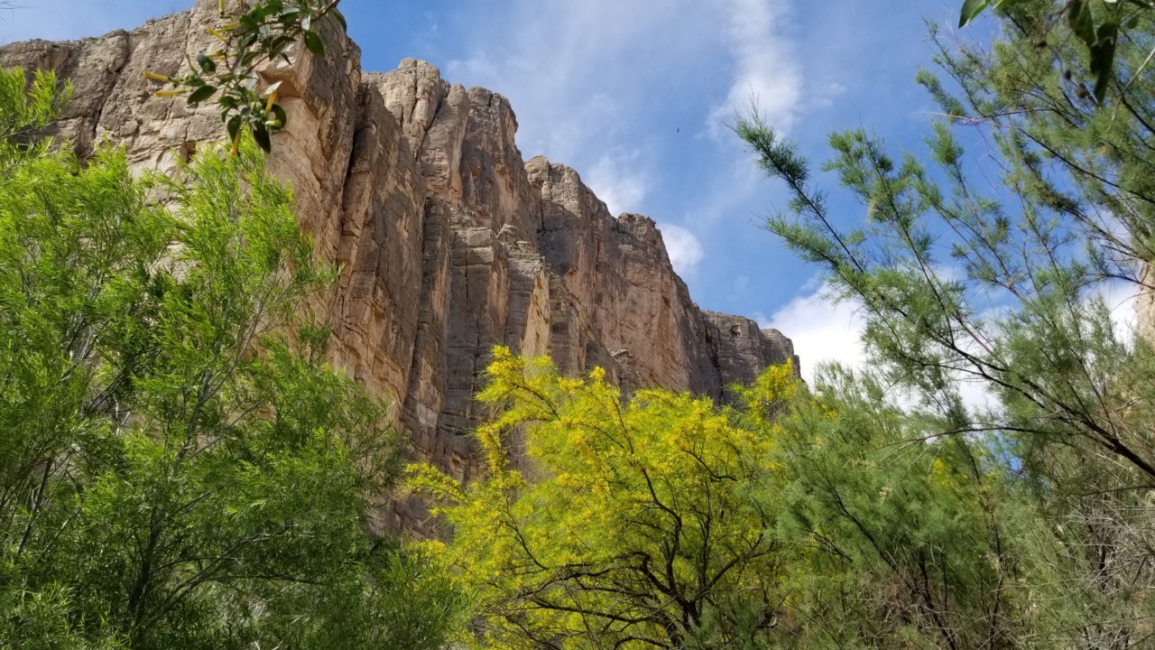 20190413_111102.jpg