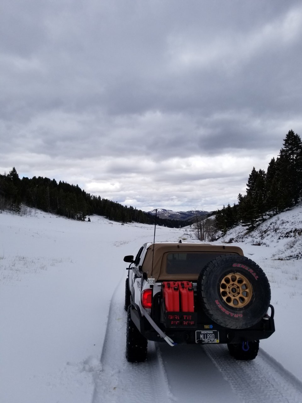 20190413_125429.jpg