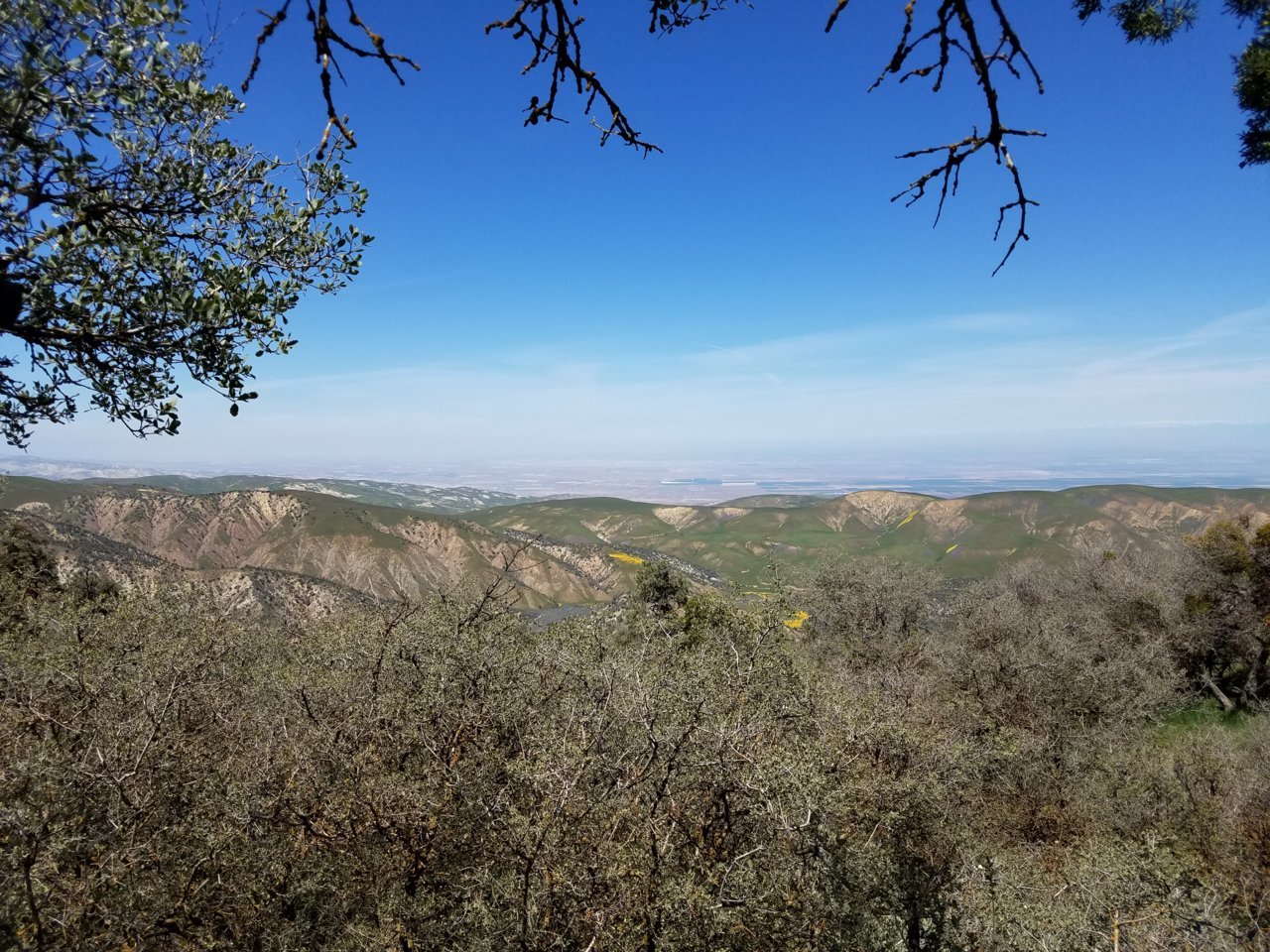 20190413_132801.jpg