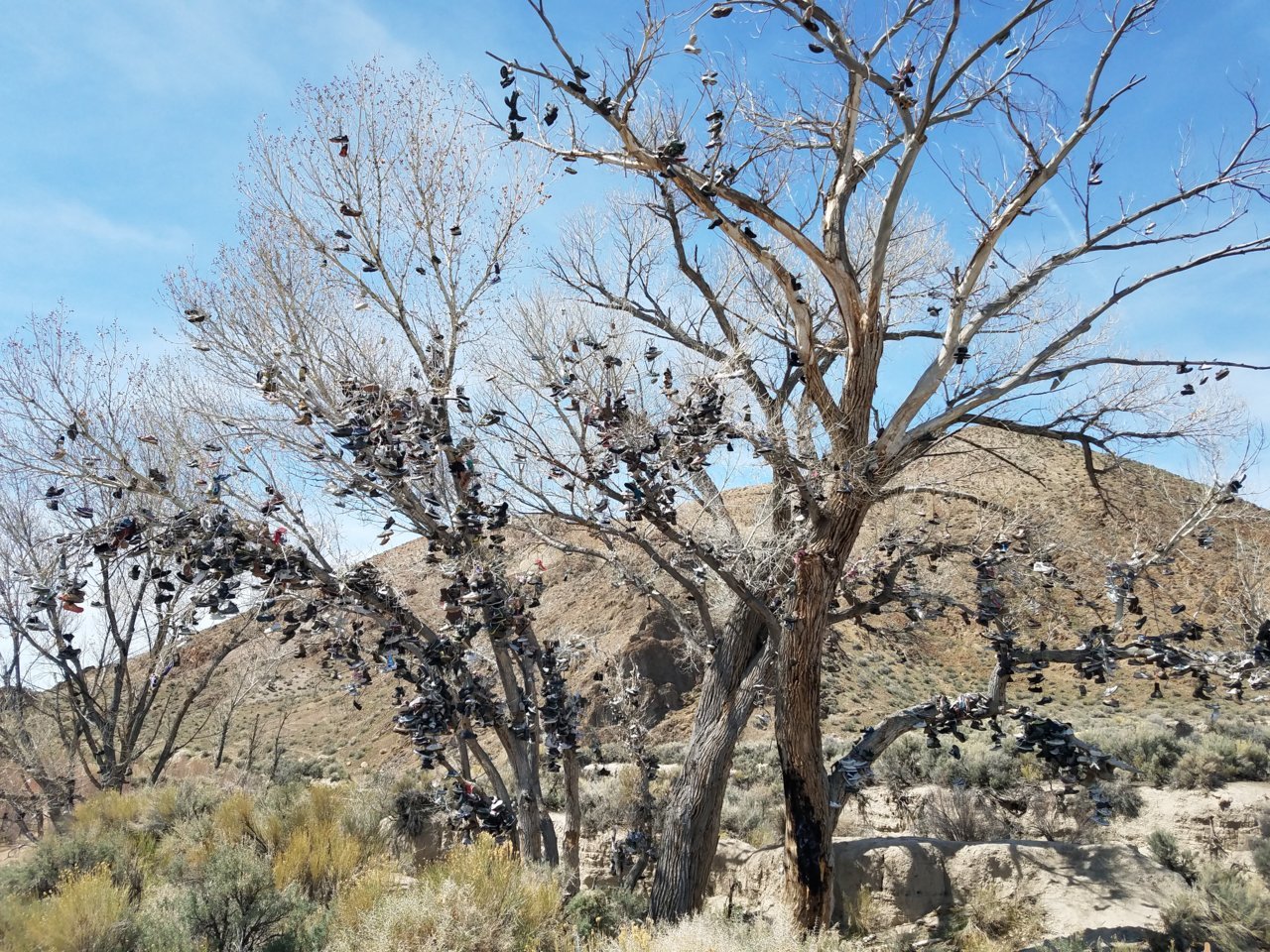 20190413_133932.jpg
