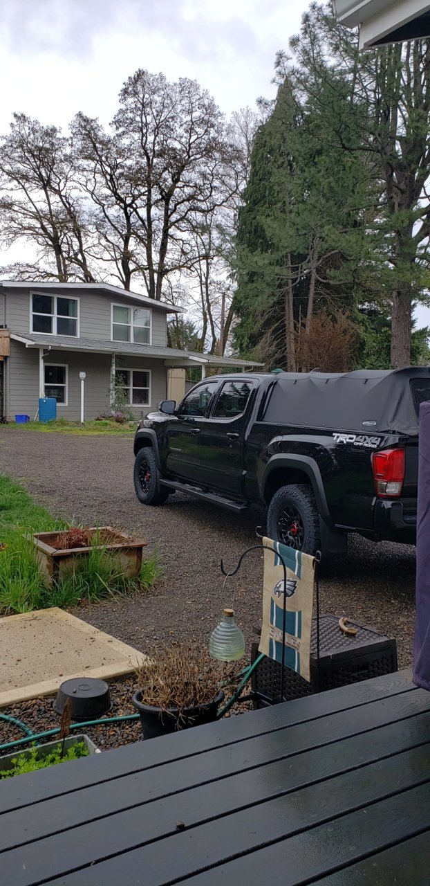 20190413_150321.jpg