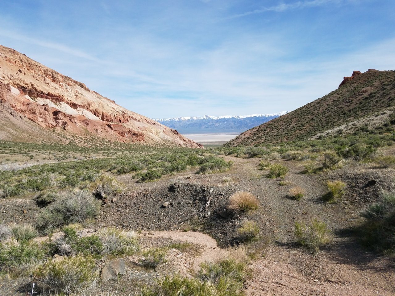 20190413_152820.jpg
