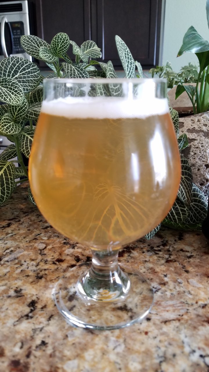 20190413_154141.jpg