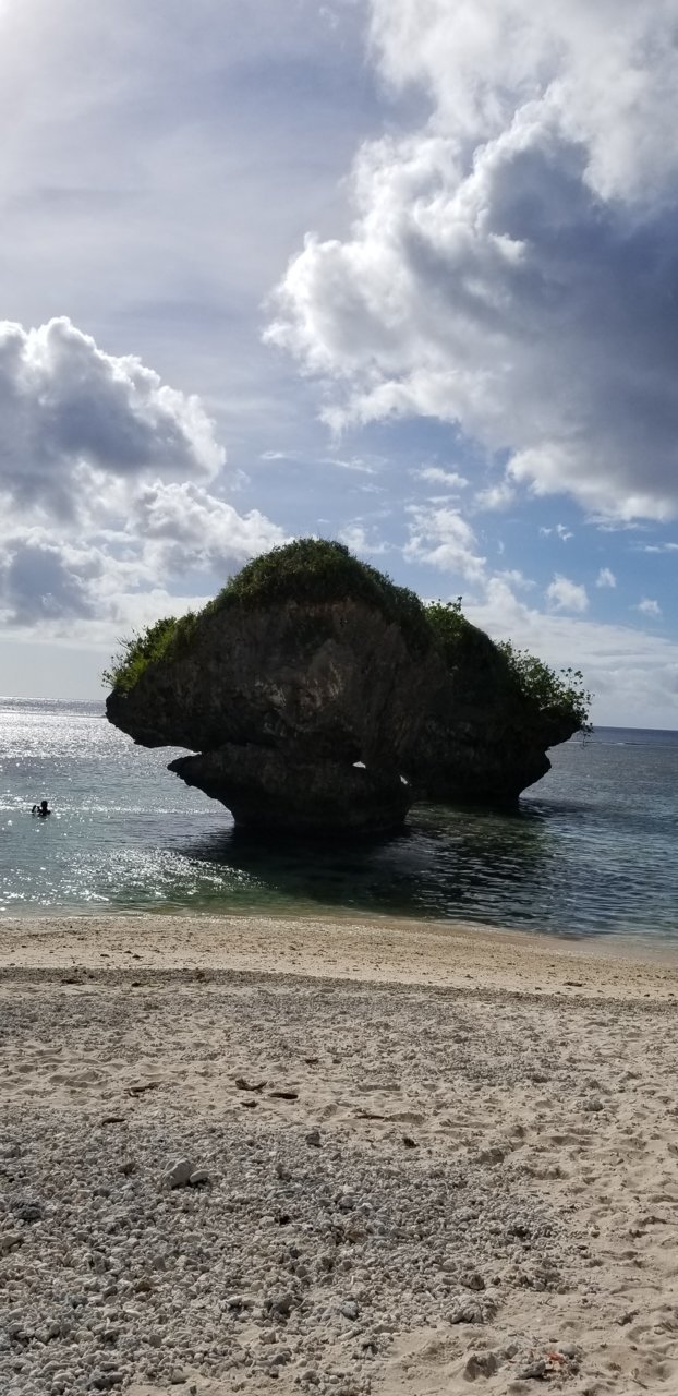 20190413_161134.jpg