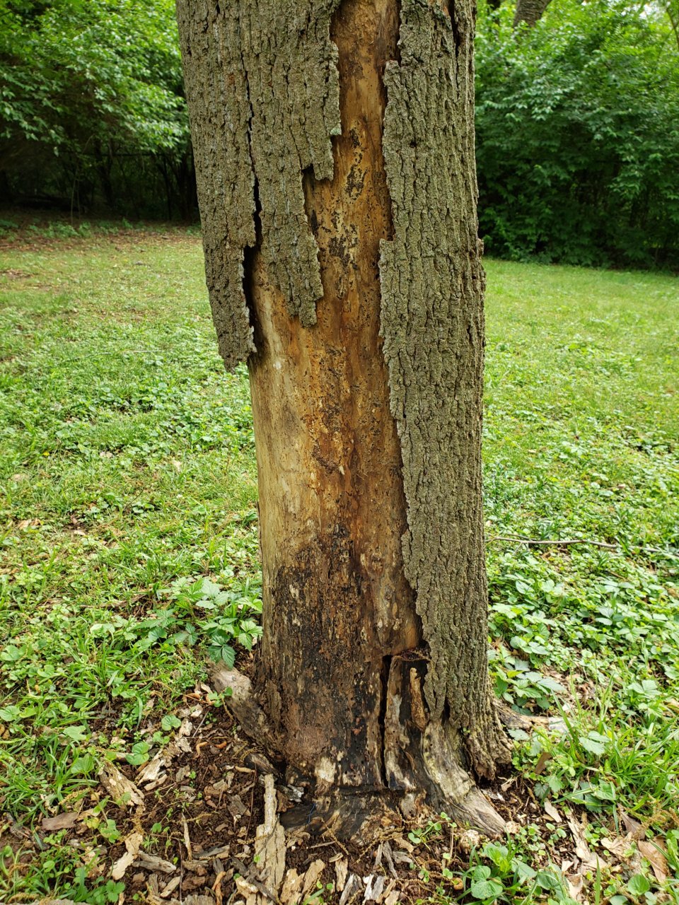 20190413_170448.jpg