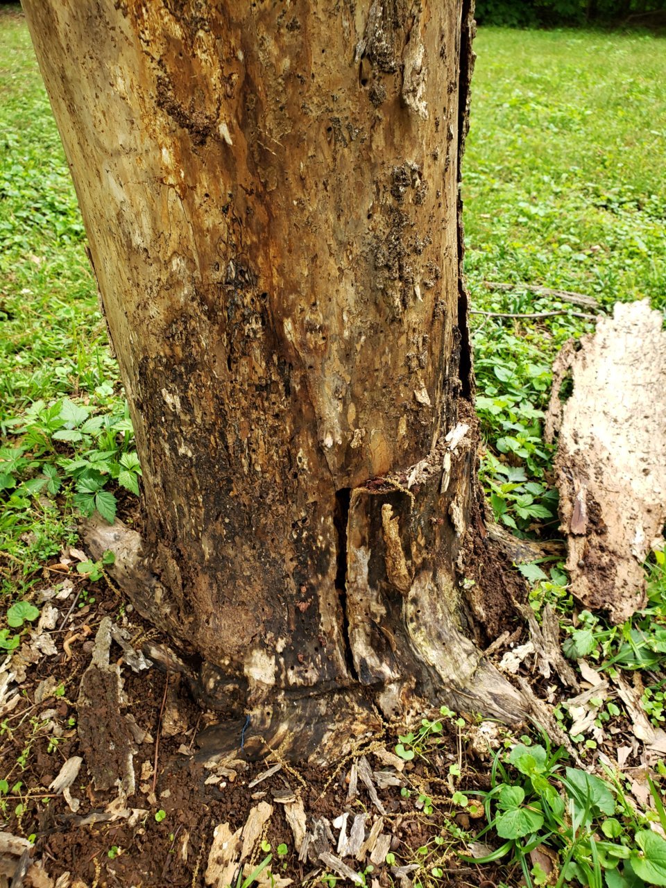 20190413_170715.jpg