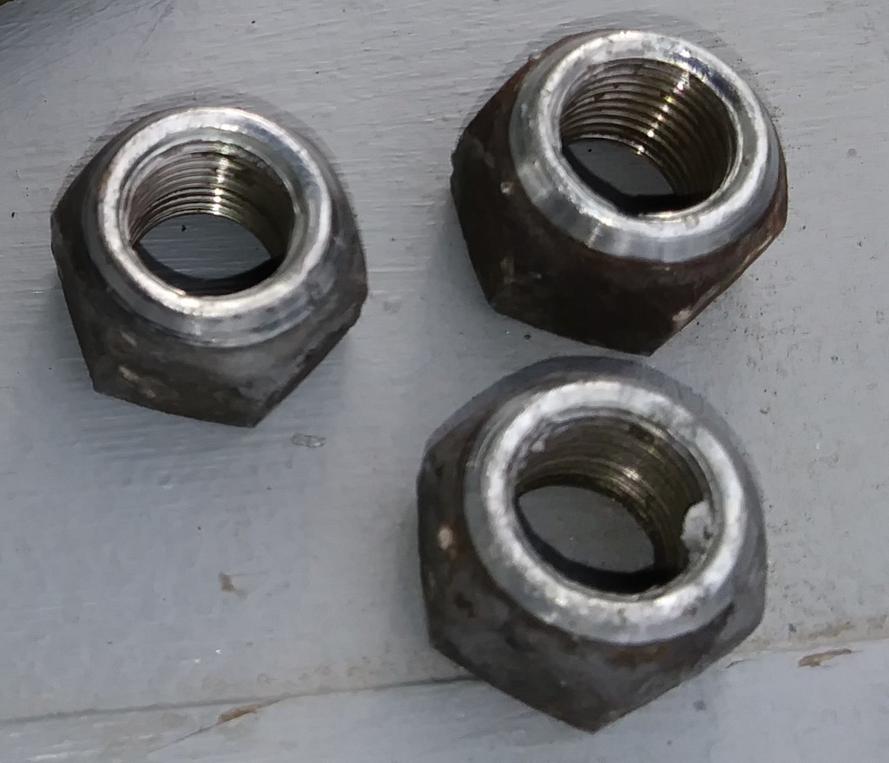 20190413_172425.jpg