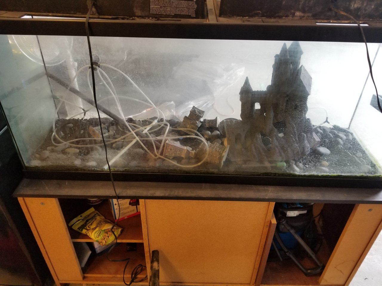 20190413_173621.jpg