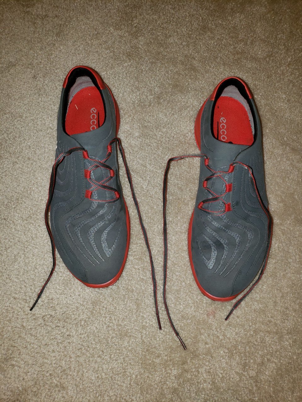 20190413_201727.jpg
