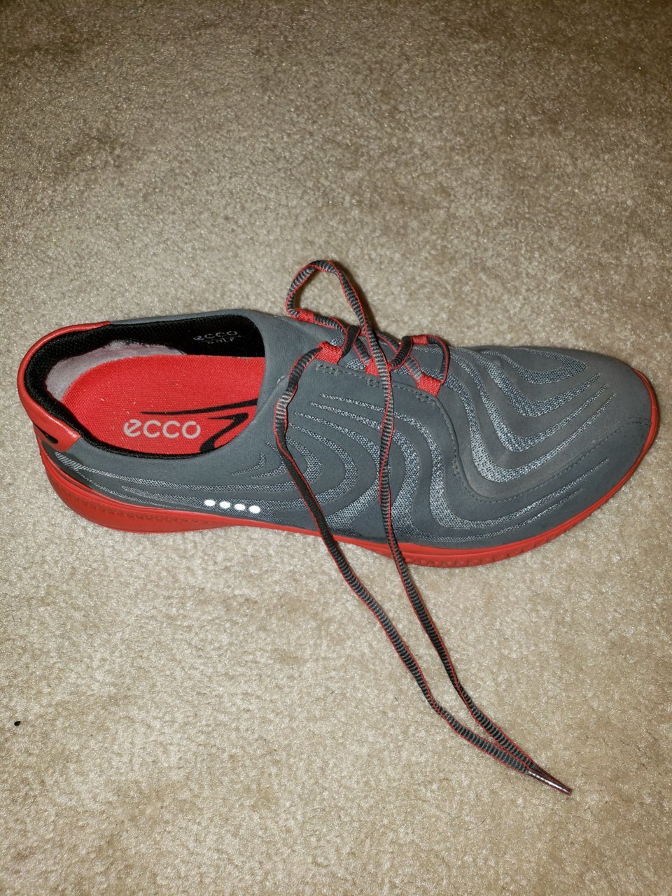 20190413_201751.jpg