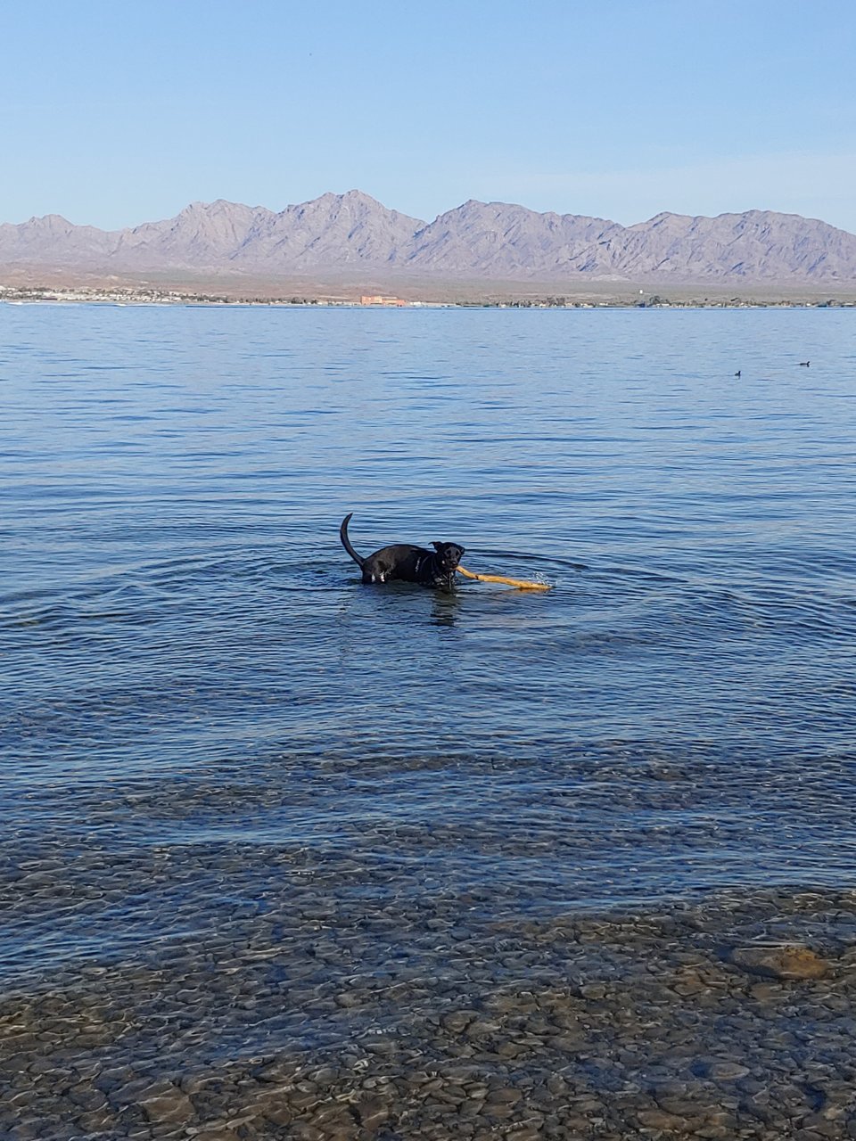 20190414_074014.jpg