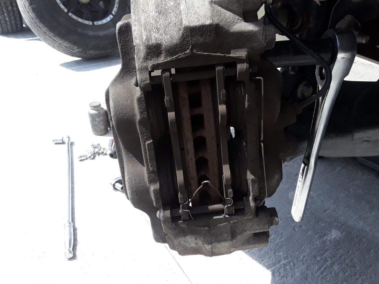 20190414_113451.jpg