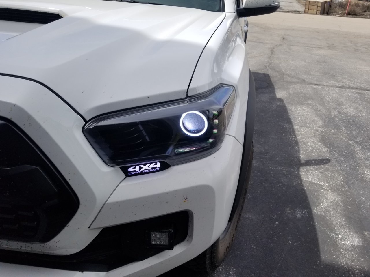 20190414_115624.jpg