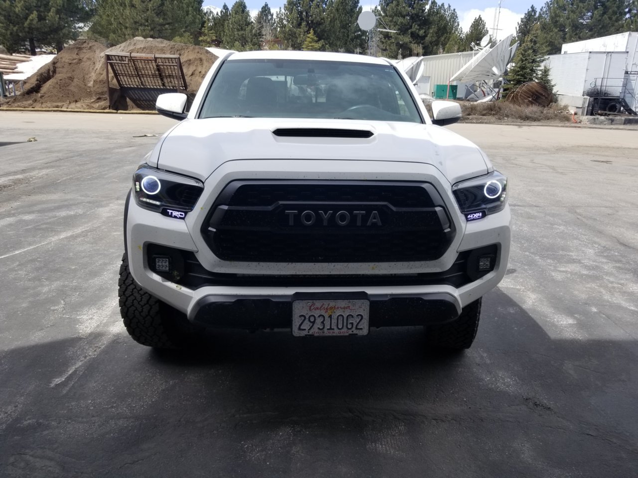 20190414_115742.jpg