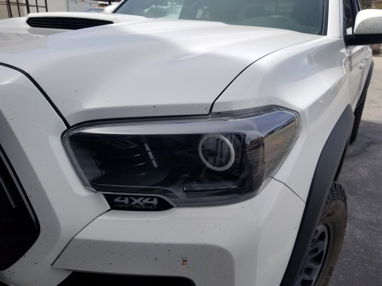 20190414_115912.jpg