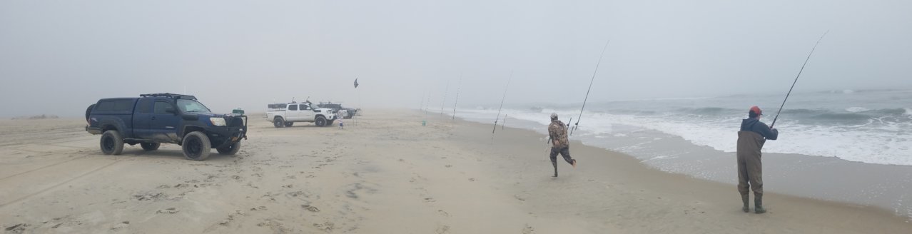 20190414_120525.jpg