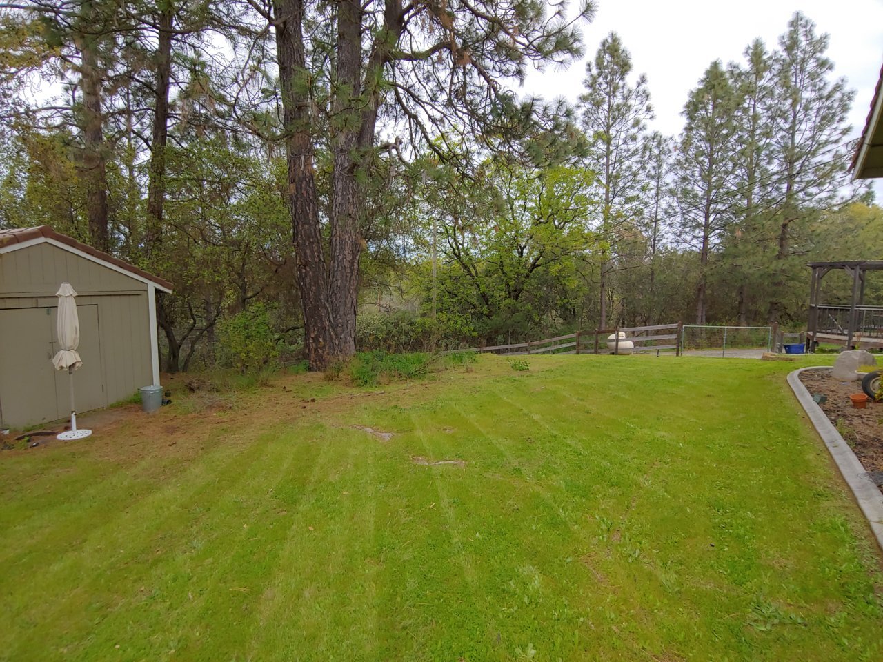 20190414_123151_HDR.jpg