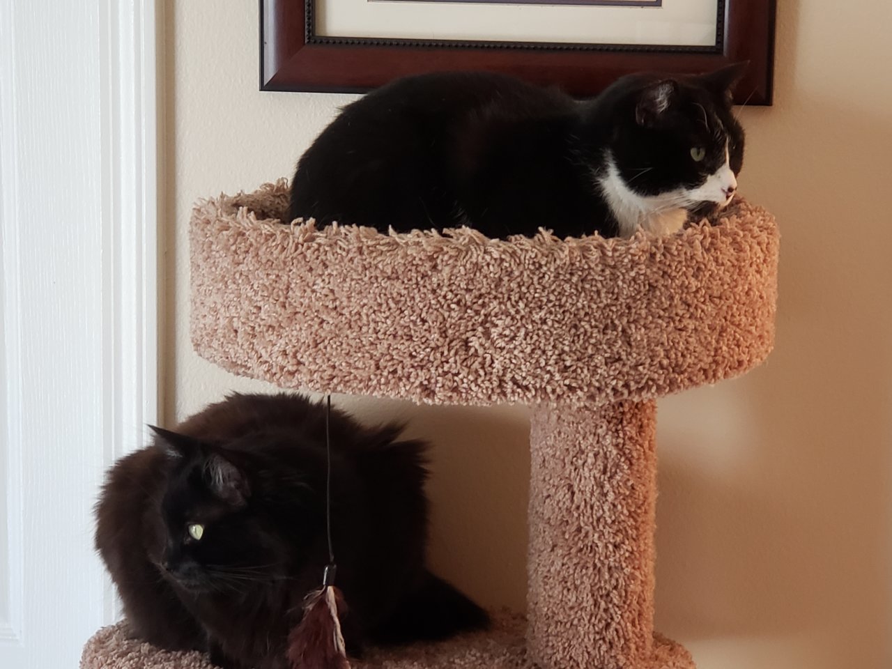 20190414_125551.jpg