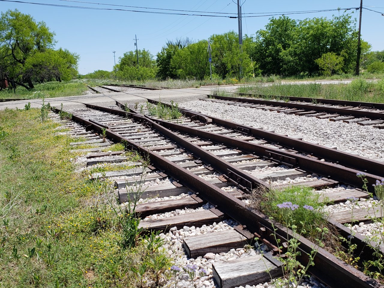 20190414_131856.jpg