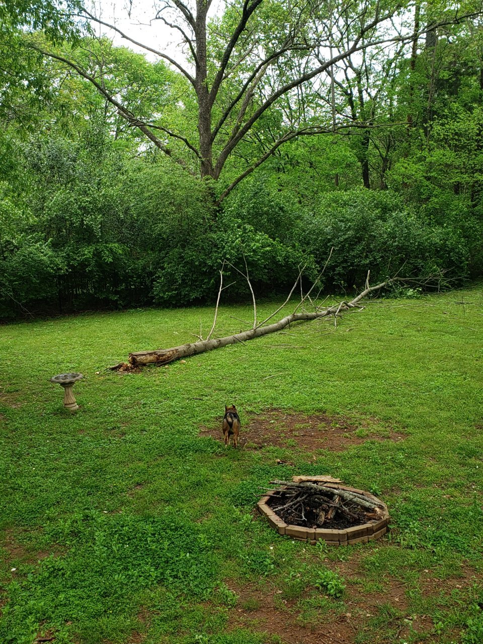 20190414_132558.jpg