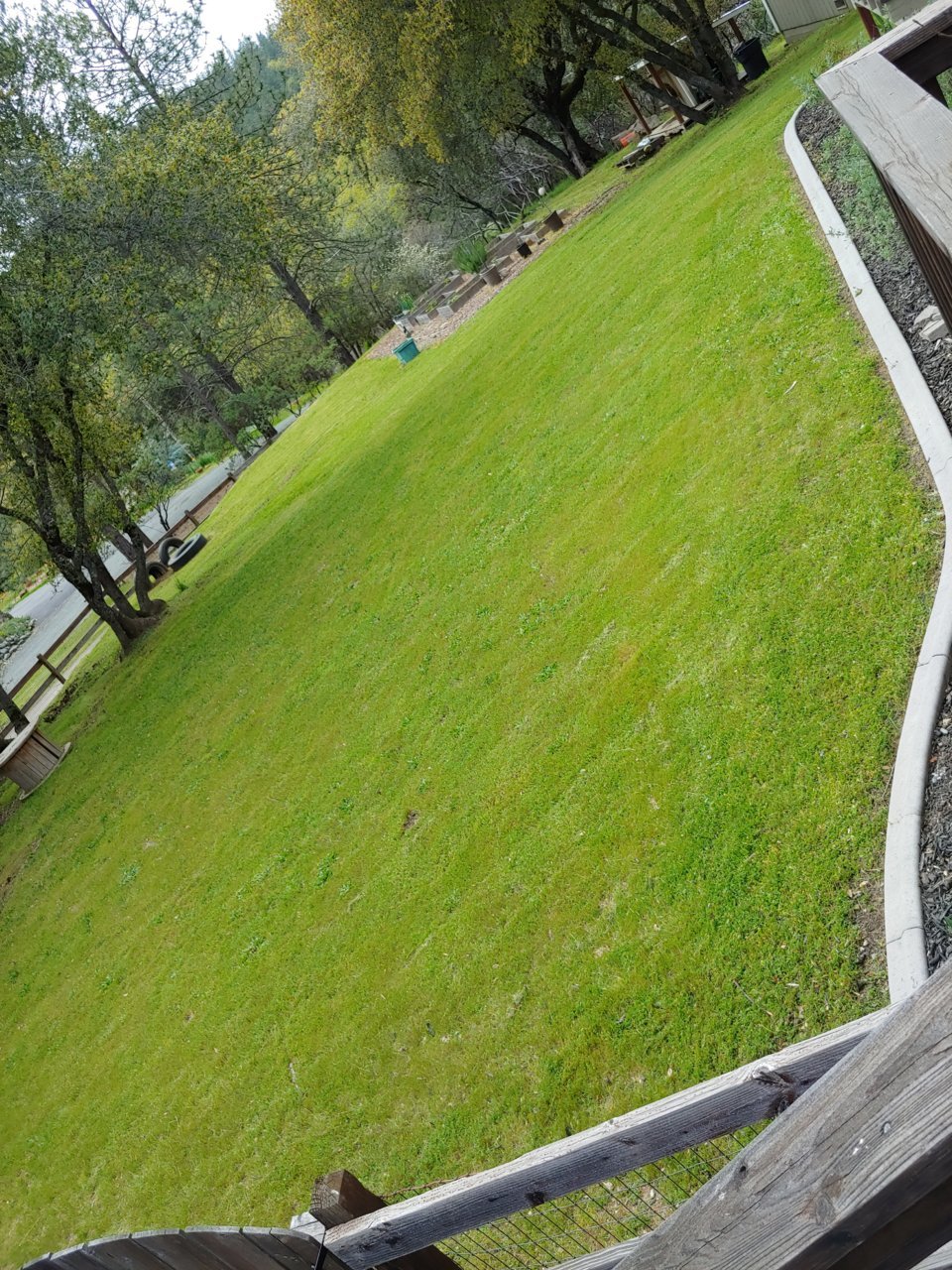 20190414_143326.jpg