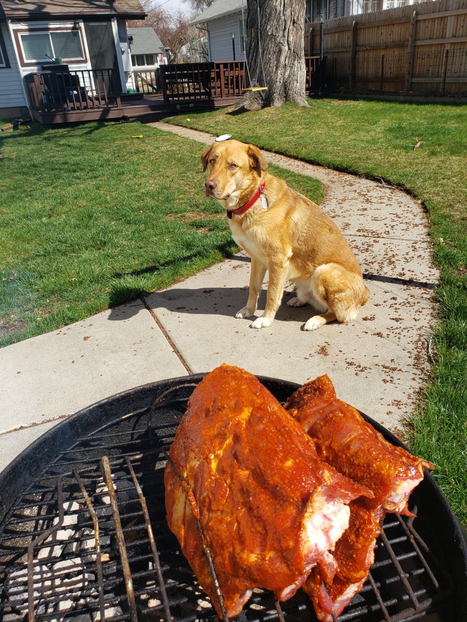 20190414_151925.jpg