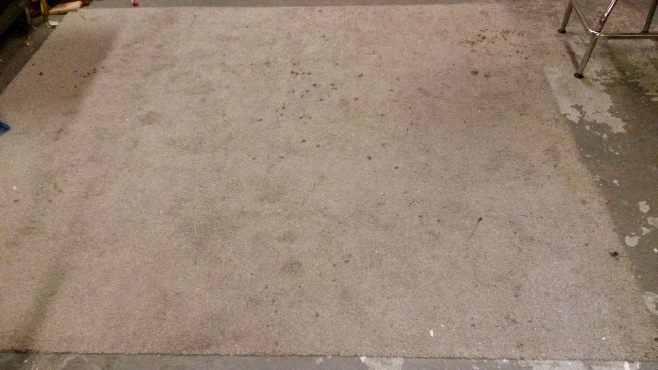 20190414_155319.jpg