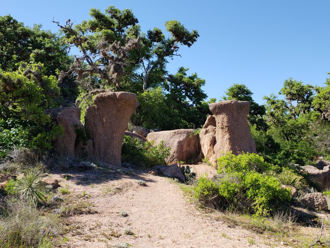 20190414_163254.jpg