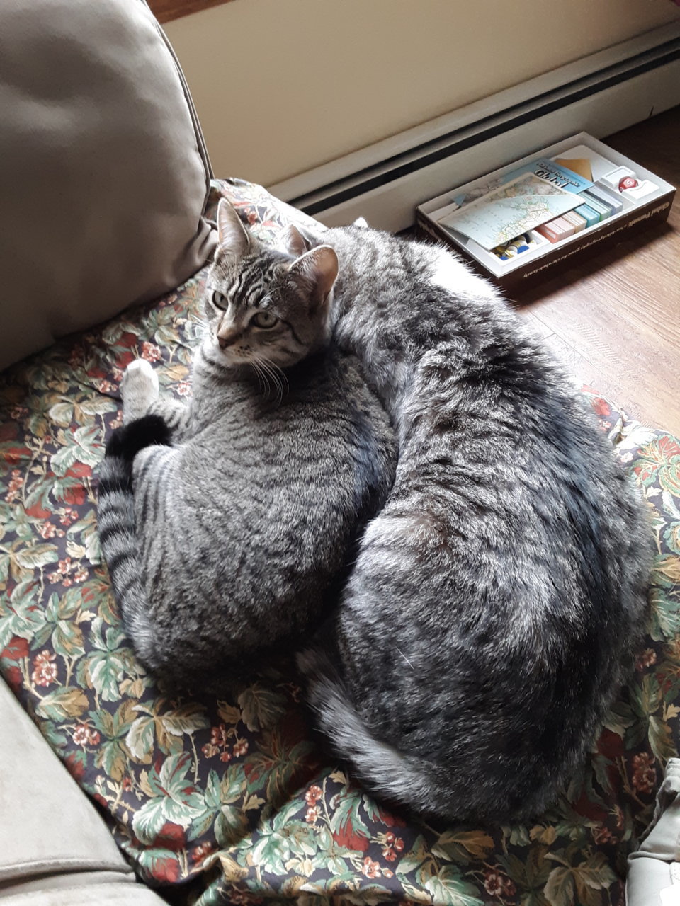 20190414_171254.jpg