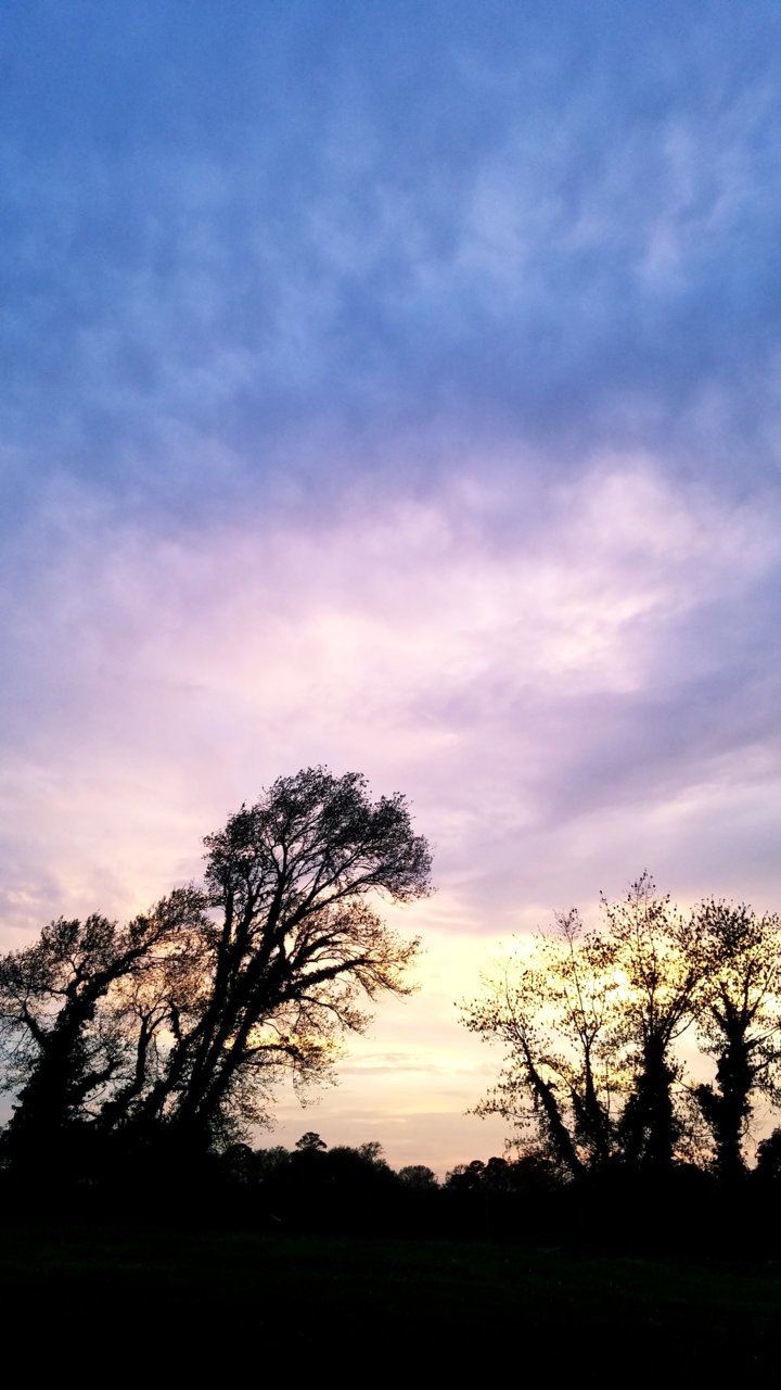 20190414_194815.jpg
