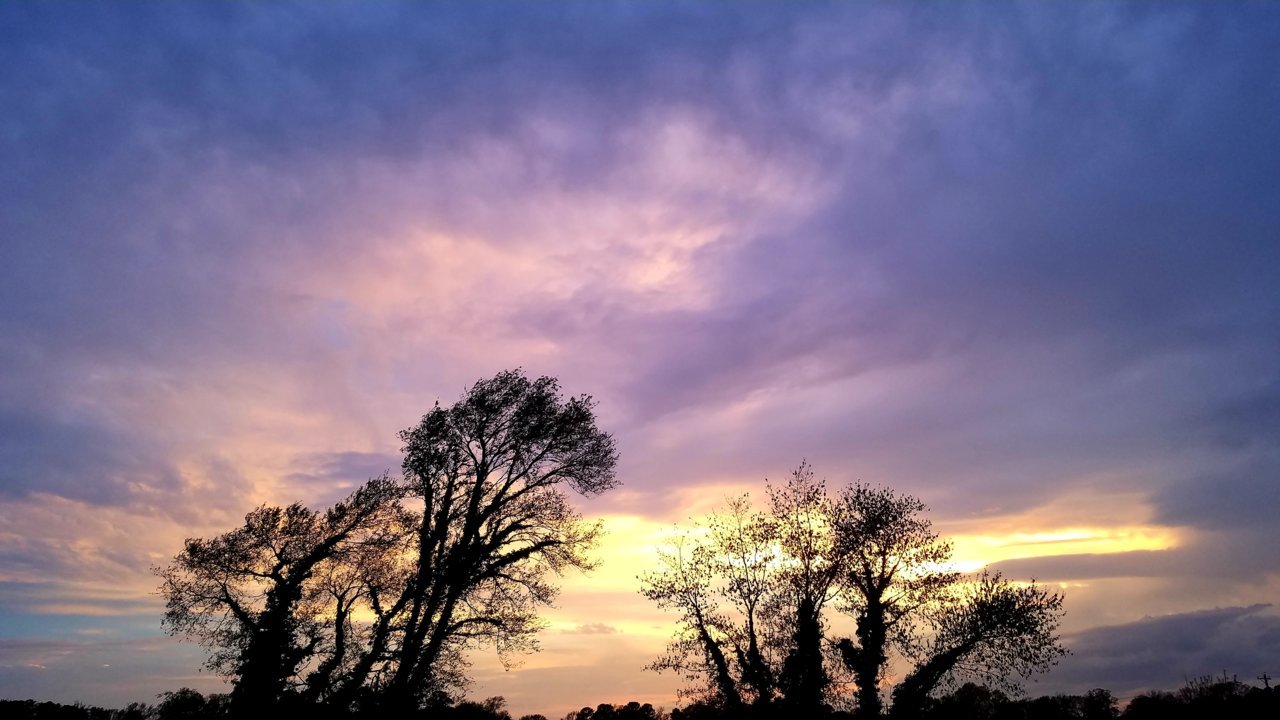20190414_194909.jpg